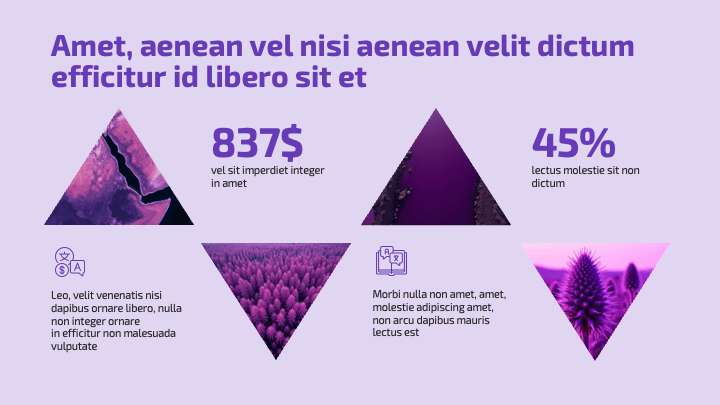 Violet Edge slide 7